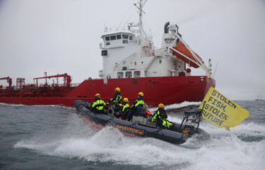 Governments in West Africa should halt the manufacturing of aquafeed and animal feed that uses fish fit for human consumption, according to environmental activist nonprofit Greenpeace.