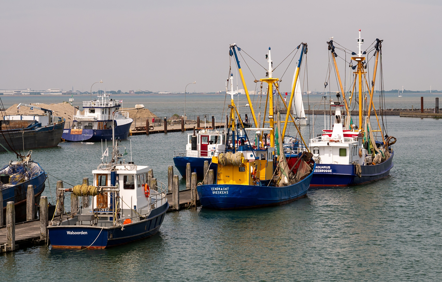 Environmental services report warns much of Europe’s fish are contaminated with “forever chemicals”