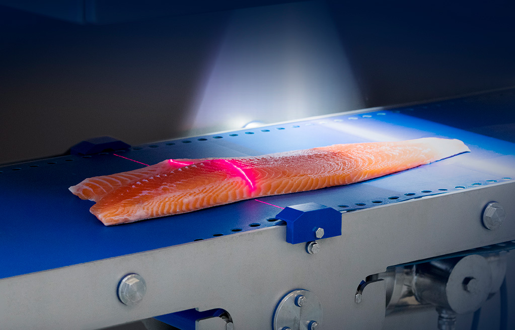 A Marel salmon-processing machine.