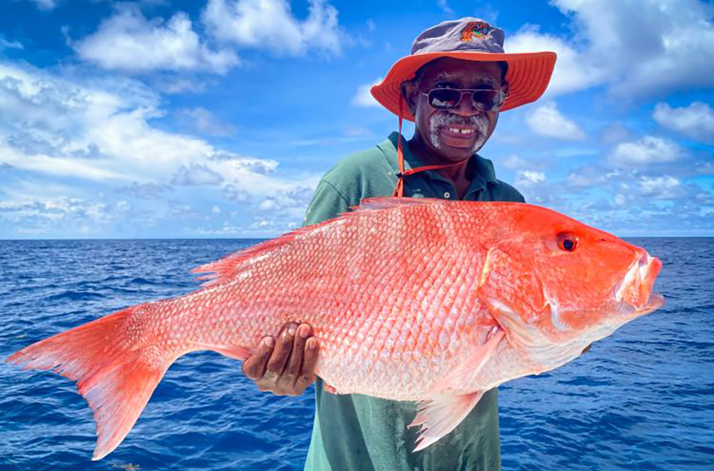 A photo of a red snapper.