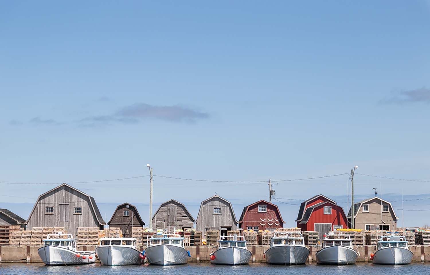 Nationwide Canadian seafood marketing campaign put on hold SeafoodSource