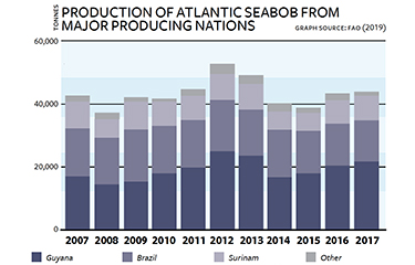 SS-IMG-2019-11-19-ProductionAtlantiSeabobShrimp-NL.jpg