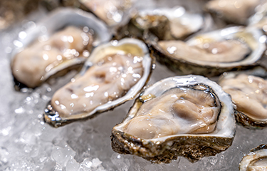 Raw oysters on the half shell on a bed of ice.