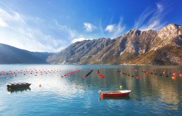 Organic aquaculture is accounting for less of the total production of seafood in the European Union than it was in 2015, the result of a range of problems ranging from its cost to its difficulty.