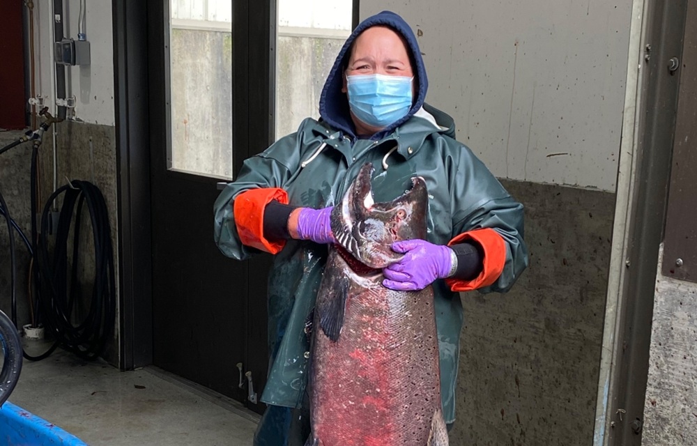 US lawmakers include funding for fish conservation, hatcheries, and battling invasive carp in Department of the Interior budget bill