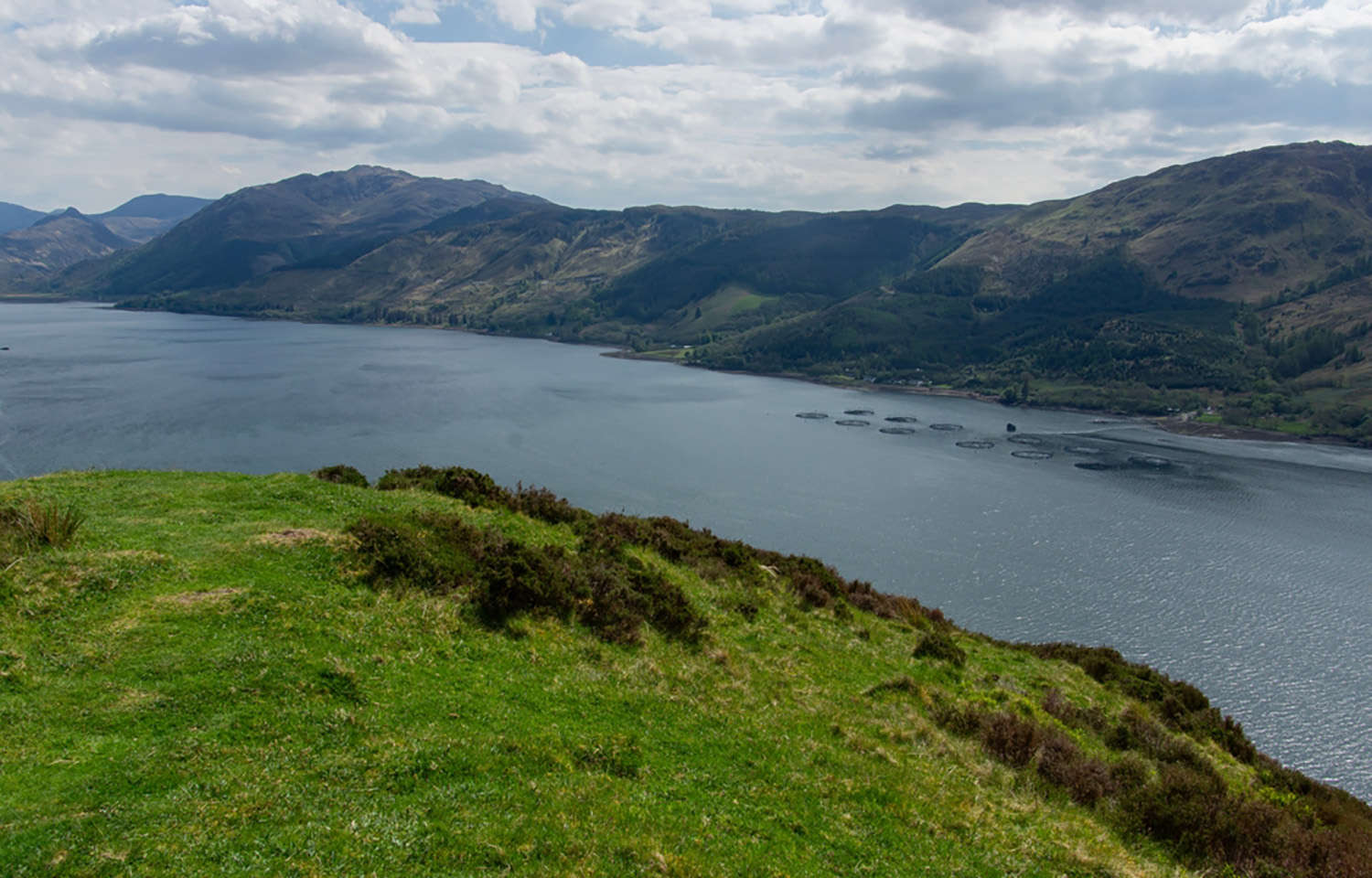 An aerial photo of a Scottish salmon farm in the Highlands