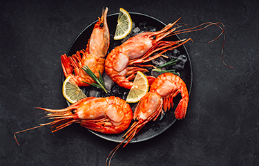 Microalgae-based prawn substitute being developed in Switzerland ...