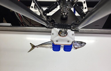 Soft Robotics, Inc.&rsquo;s mGripAI