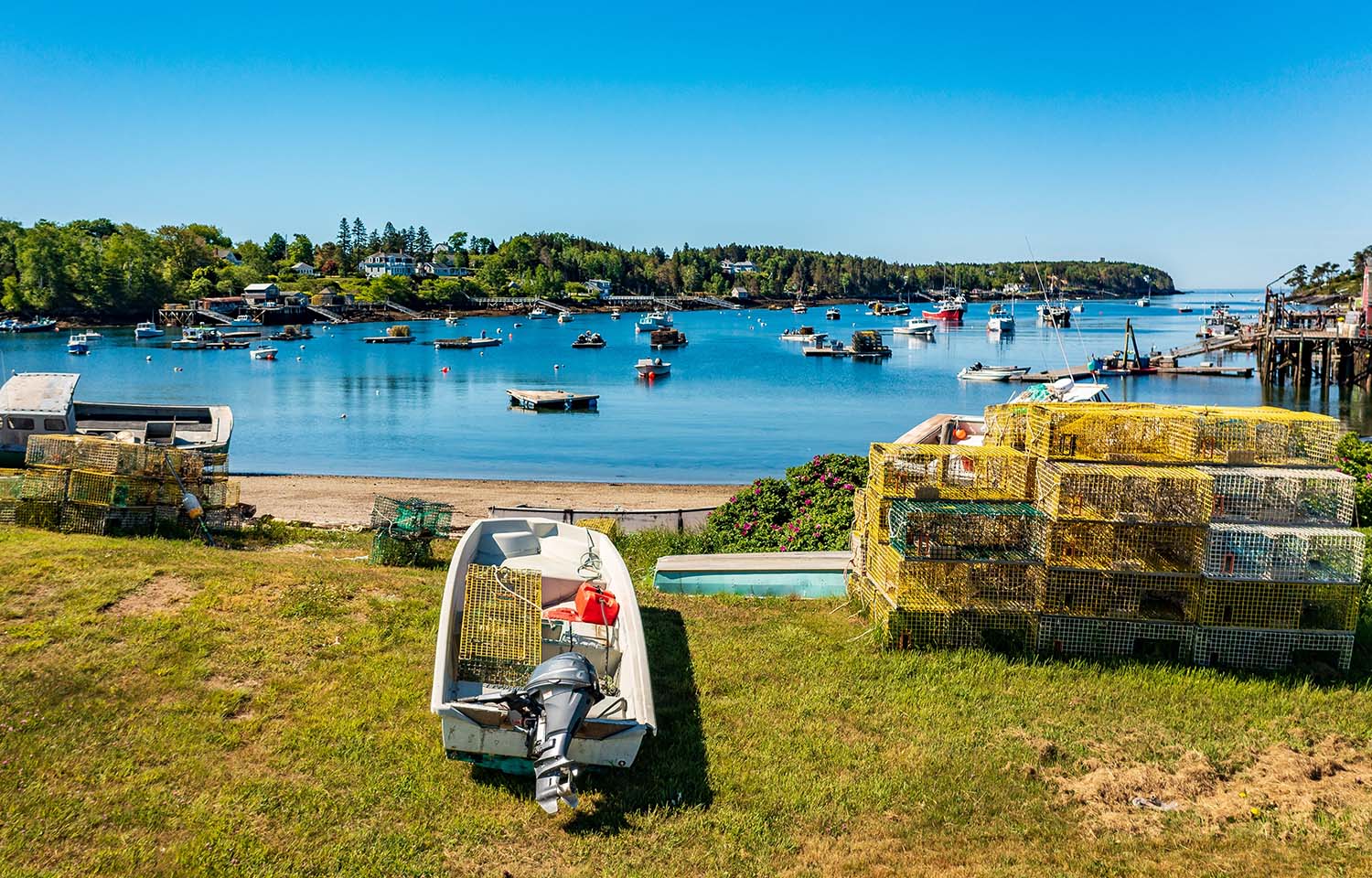 Maine lobster gear
