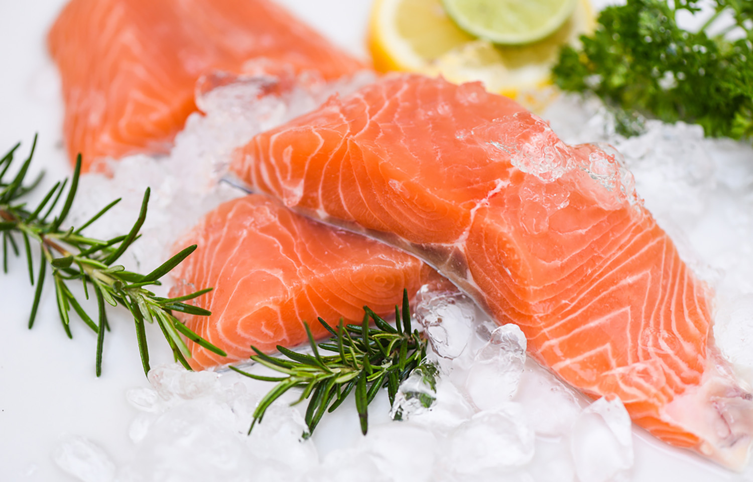 Salmon fillets on ice