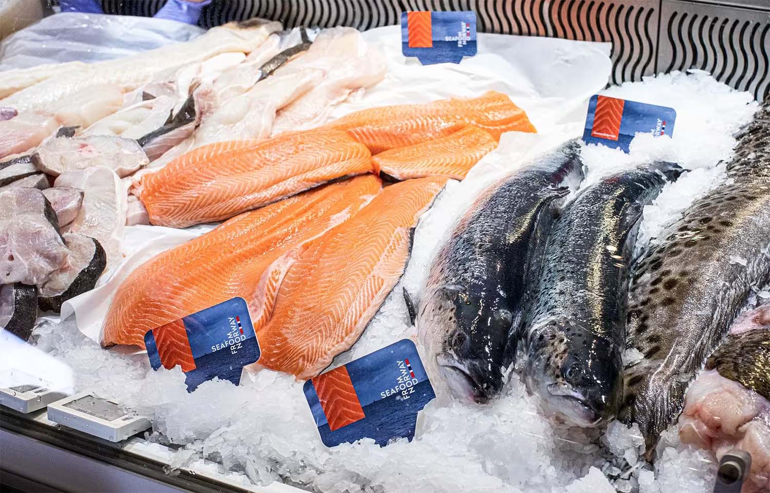 A seafood counter featuring salmon fillets with Norwegian flag labels