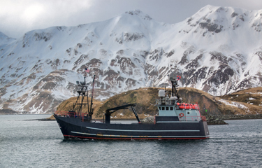 Winter red king crab fishery in Alaska's Bering Sea canceled