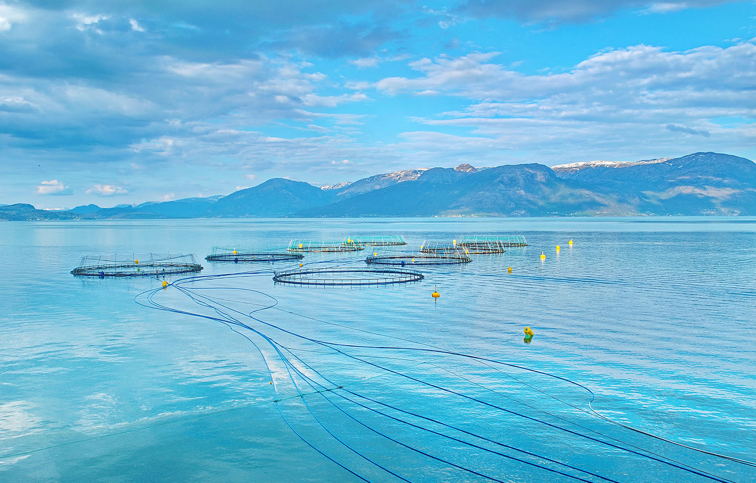 Salmon farm off the coast of Norway