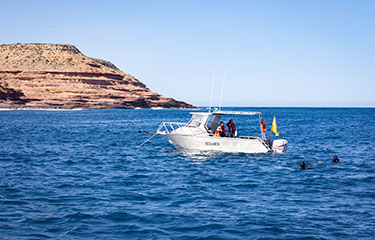 Australian waters