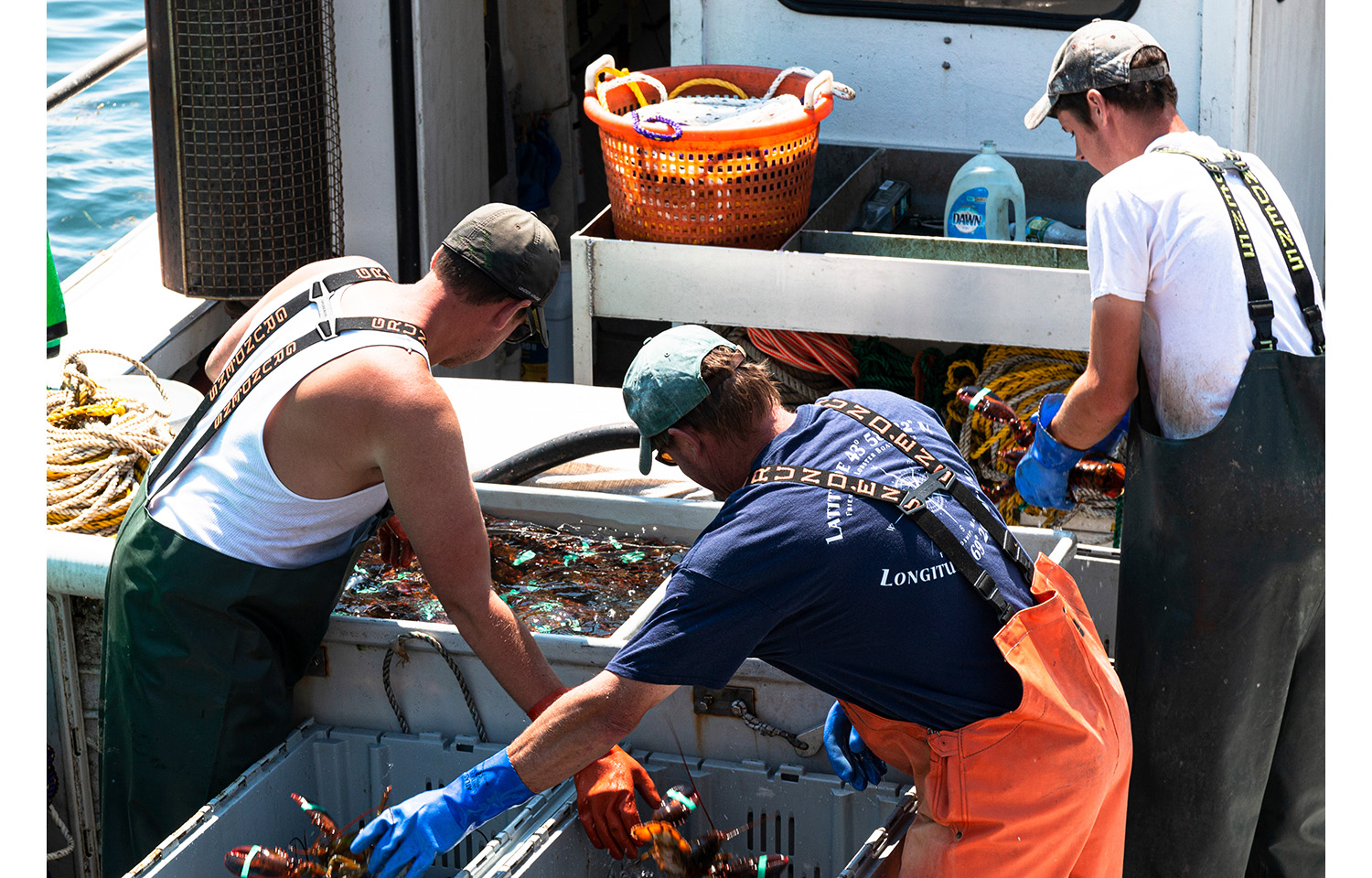Lobstermen sorting lobsters in Maine