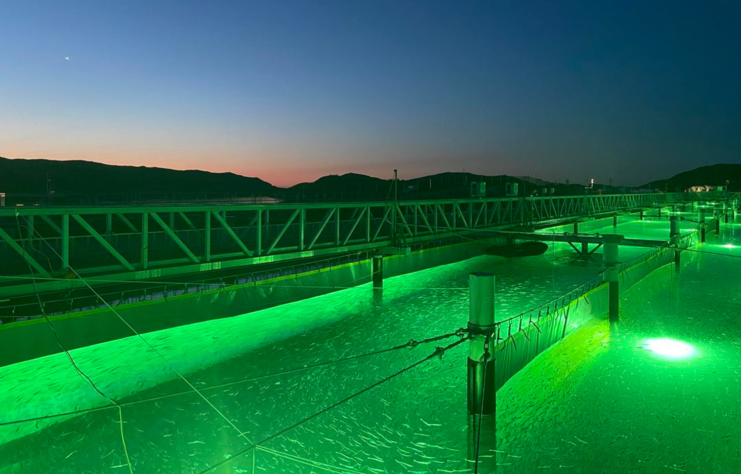 Gigante Salmon's land-based salmon farm.