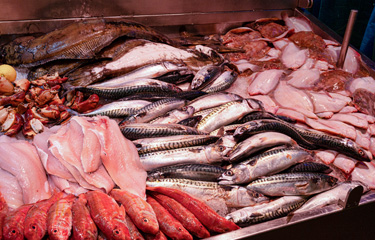 Irish seafood exports are up in the first five months of 2022 compared to the same period in 2021.