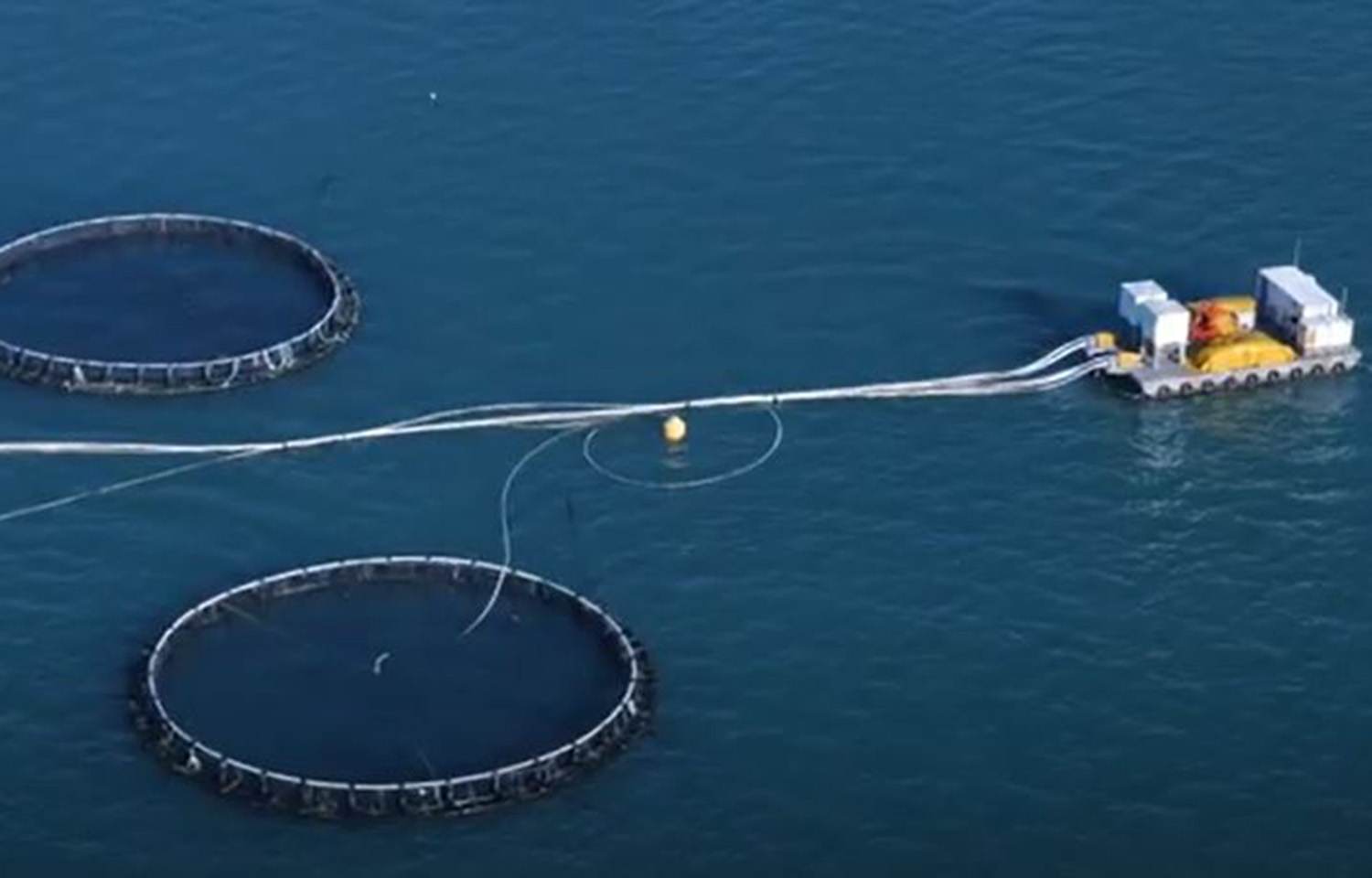 Singapore court approval allows Barramundi Group to move forward with restructuring