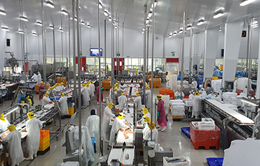A photo of a Chilean processing plant toured by Giant Eagle employees during a trade mission visit.