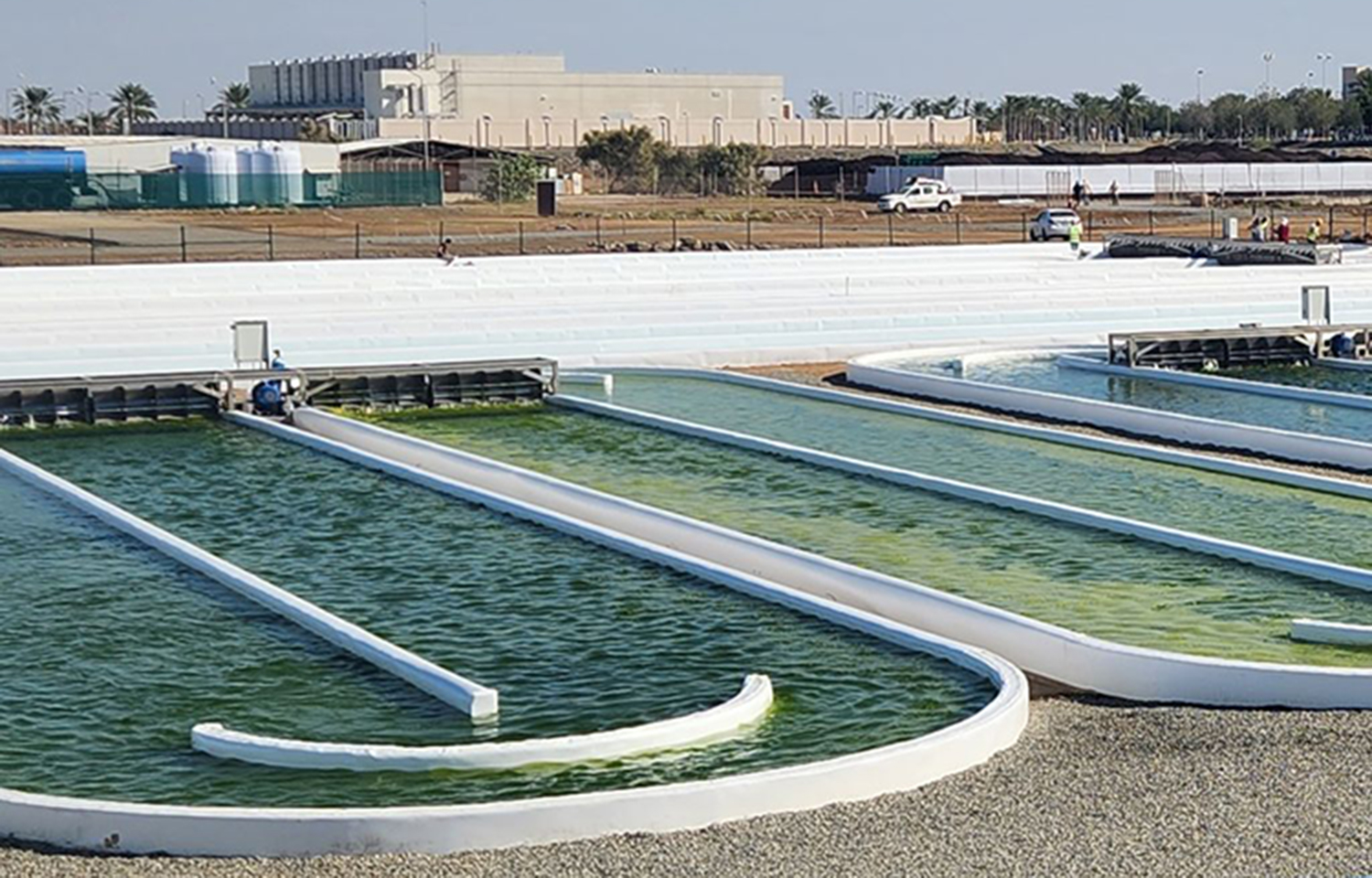 Saudi Arabia-based algae biotechnology center