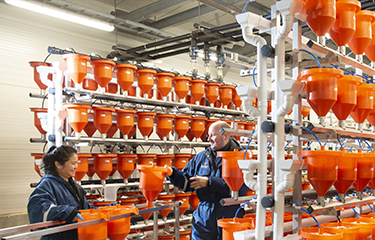 A Benchmark Holdings genetics facility in Iceland.