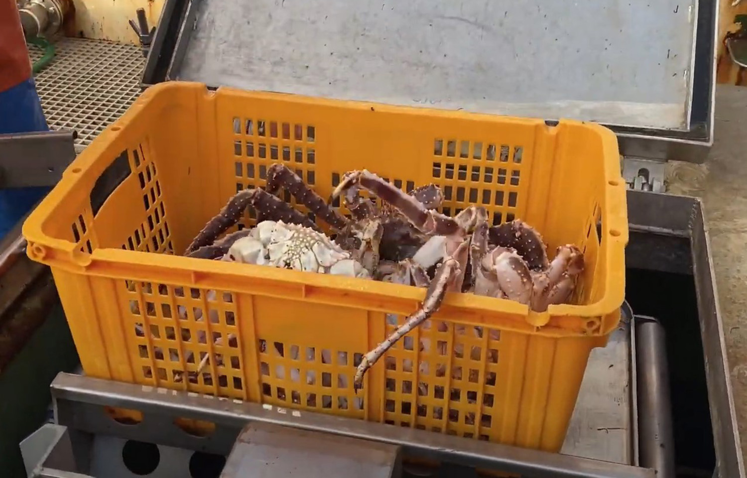A basket filled with crab on a Russian vessel