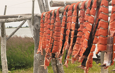 Sockeye salmon fills the drying racks in the village of Newhalen on Lake Iliamna, Alaska.