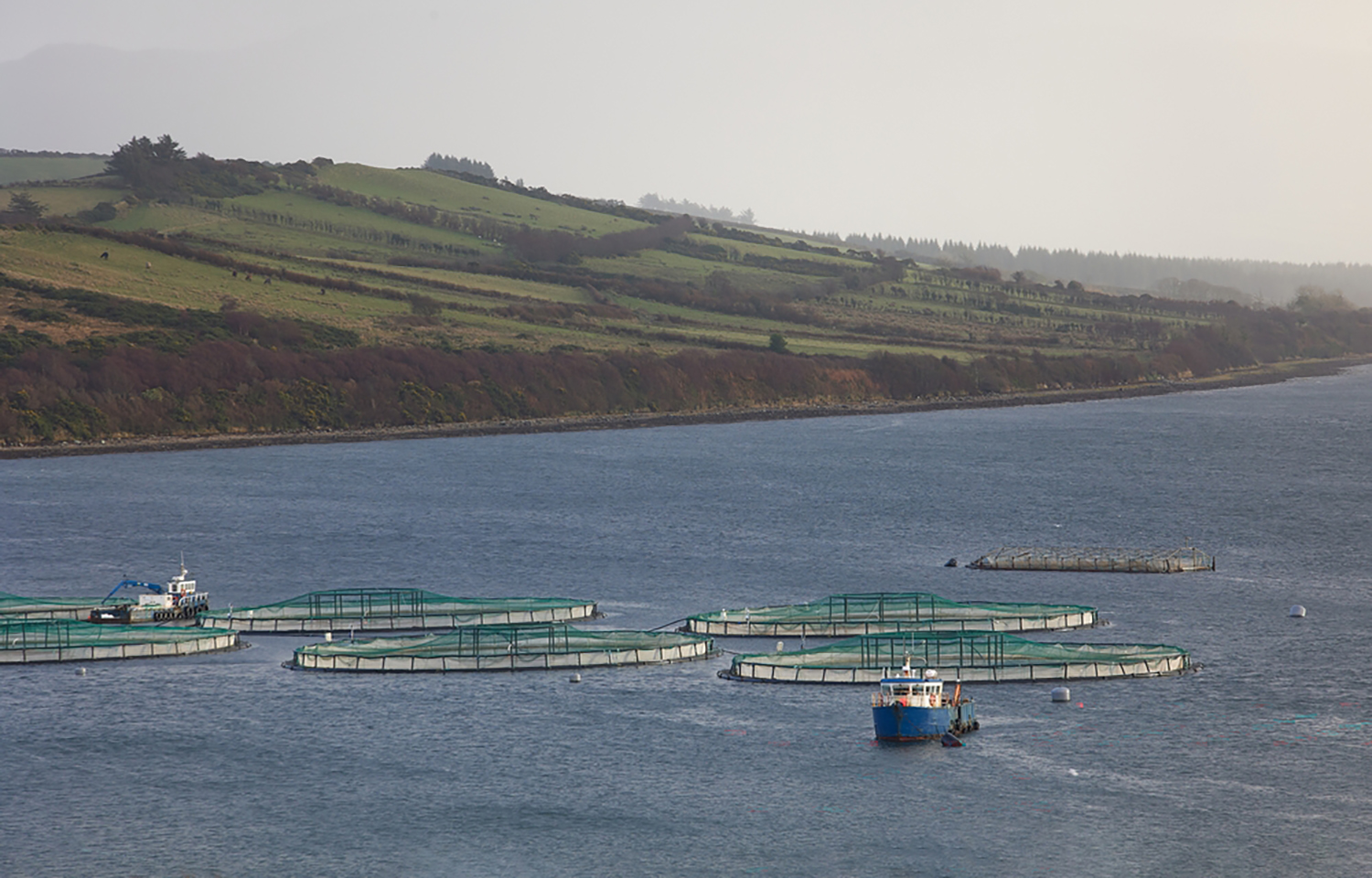 A fish farm in Donegal, Ireland
