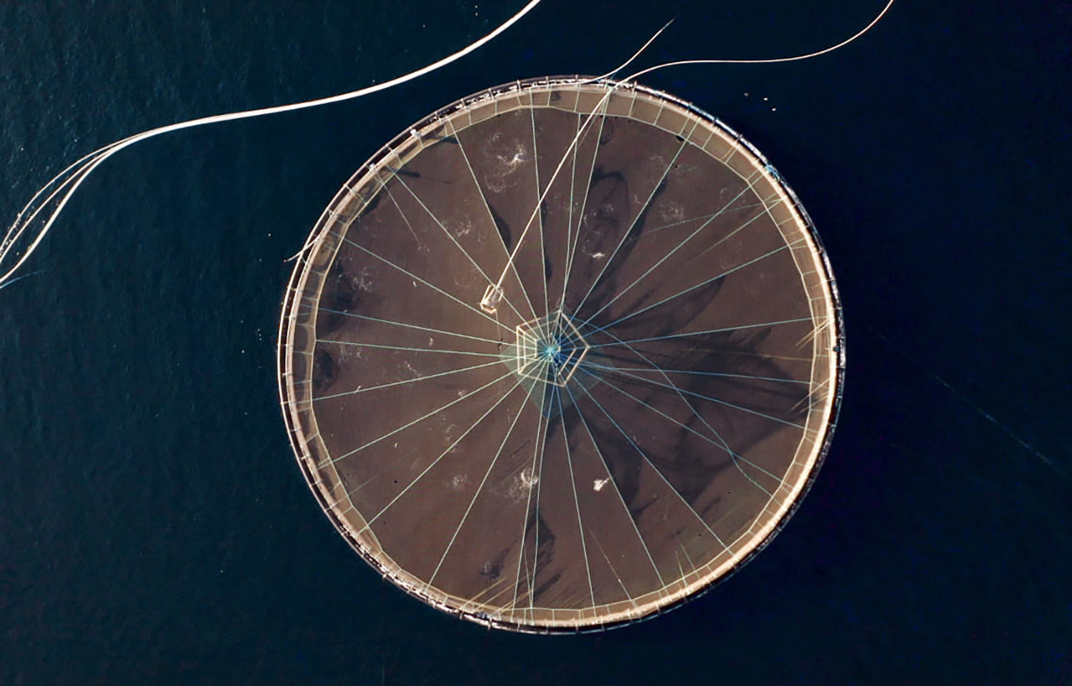 An aerial shot of a Mowi salmon net pen