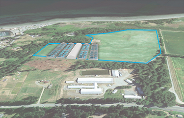 A rendering of Taste of BC Aquafarms' proposed RAS steelhead farm.