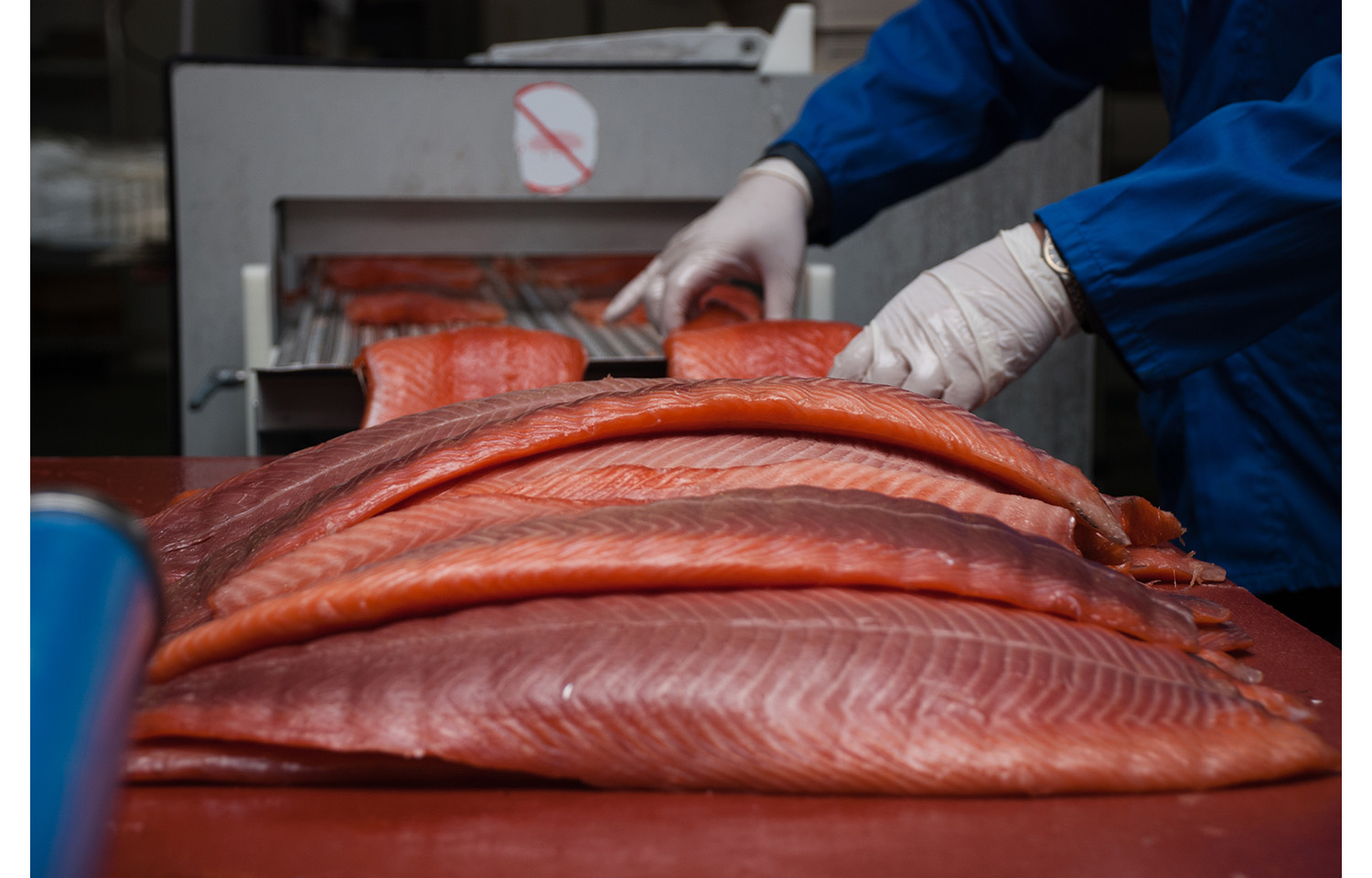 Smoked salmon undergoing processing
