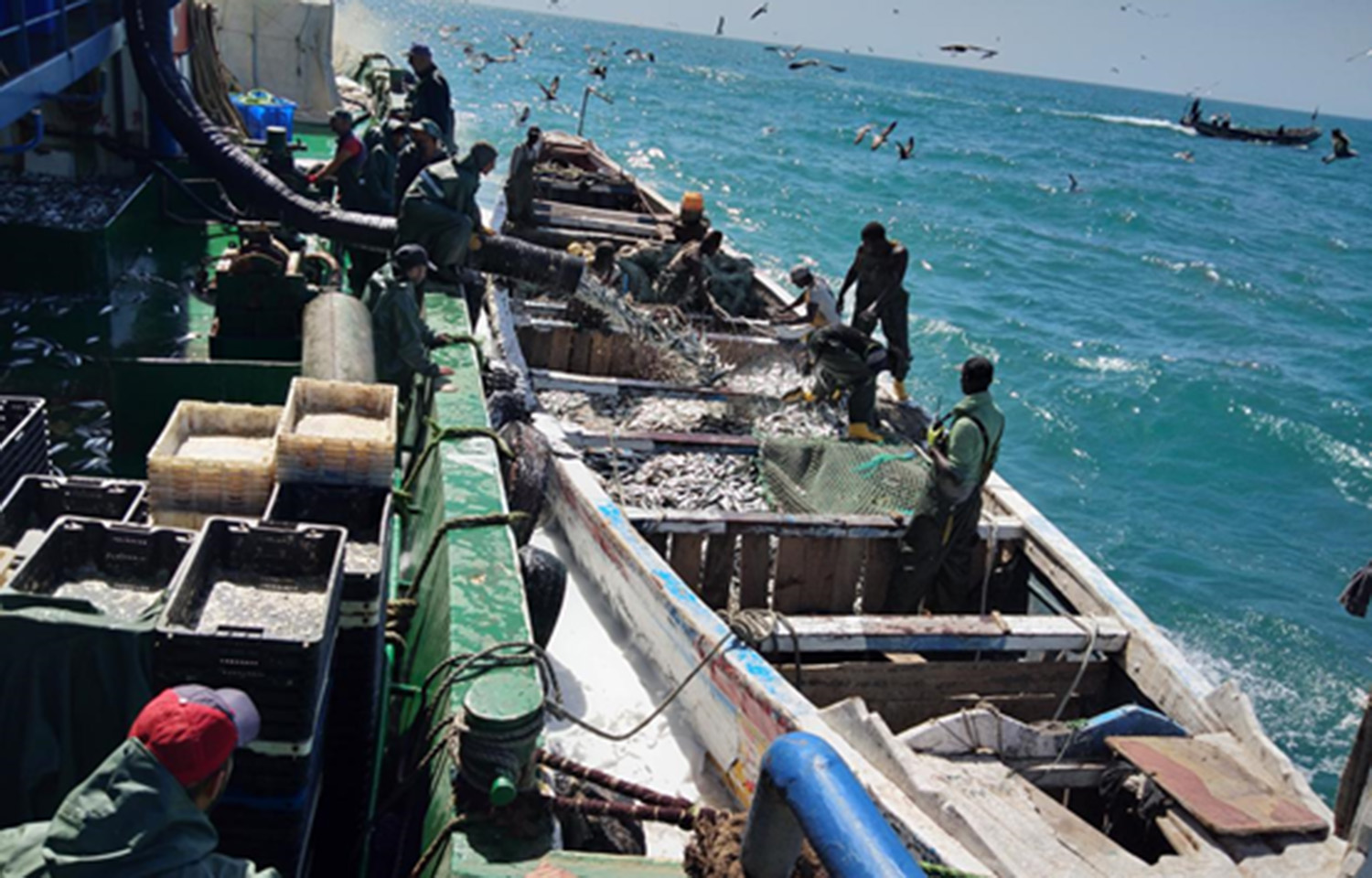 A China Ocean Group Development fishing operation in Mozambique, with a hose shooting fish into a smaller boat.