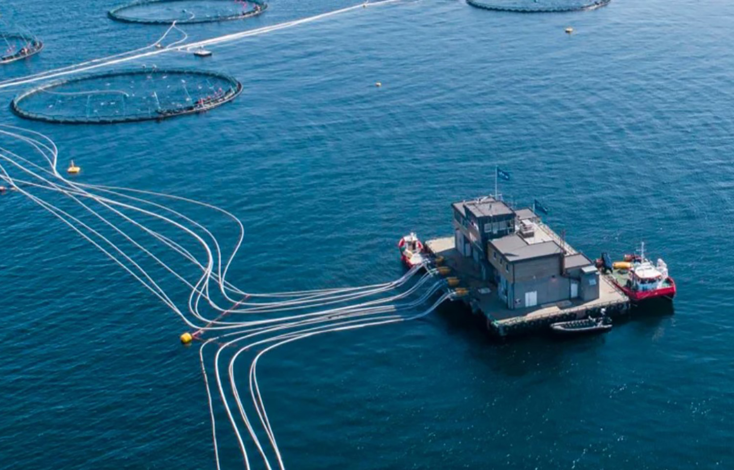 Lerøy Seafood Group issues USD 50.6 million green bond, garners strong  investor demand | SeafoodSource