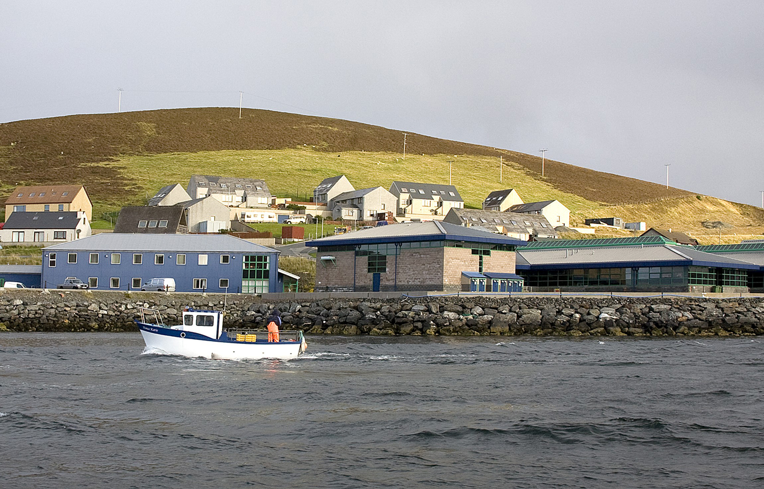 Shetland Islands university commits to becoming focal location of seafood  industry research | SeafoodSource