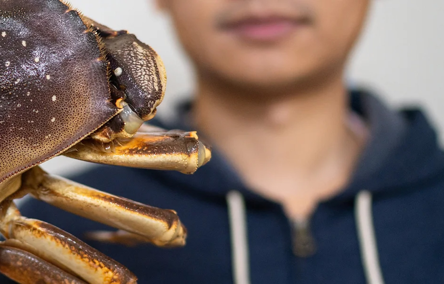 Westlake Seafood Owner Dalong Jiang was charged with four felonies for failing to report thousands of dollars' worth of sea urchin and Dungeness crab purchases