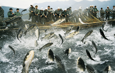 10 china scene.jpg