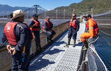 Salmones Camanchaca employees at a salmon farm.