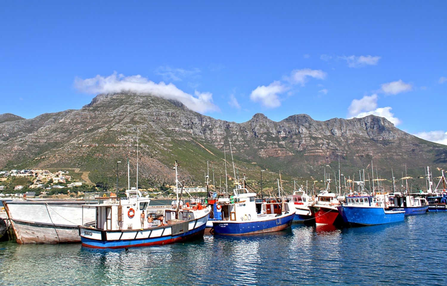 Hout Bay Harbor near Cape Town, South Africa