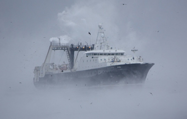 A vessel belonging to one of the companies of the At-Sea Processors Association