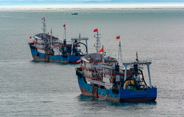 China's fishing fleet subsidies are becoming more secretive, as a recent study found that 85 percent of them are harming the sustainability of fish stocks.