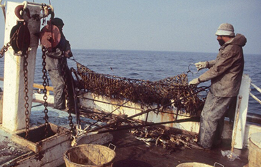 Discovery Bay Marine Gear, Fishing Gear, Crabbing Equipment