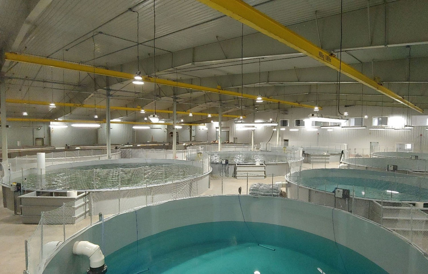 The interior of Aqua Bounty Canada's defunct recirculating aquaculture system facility