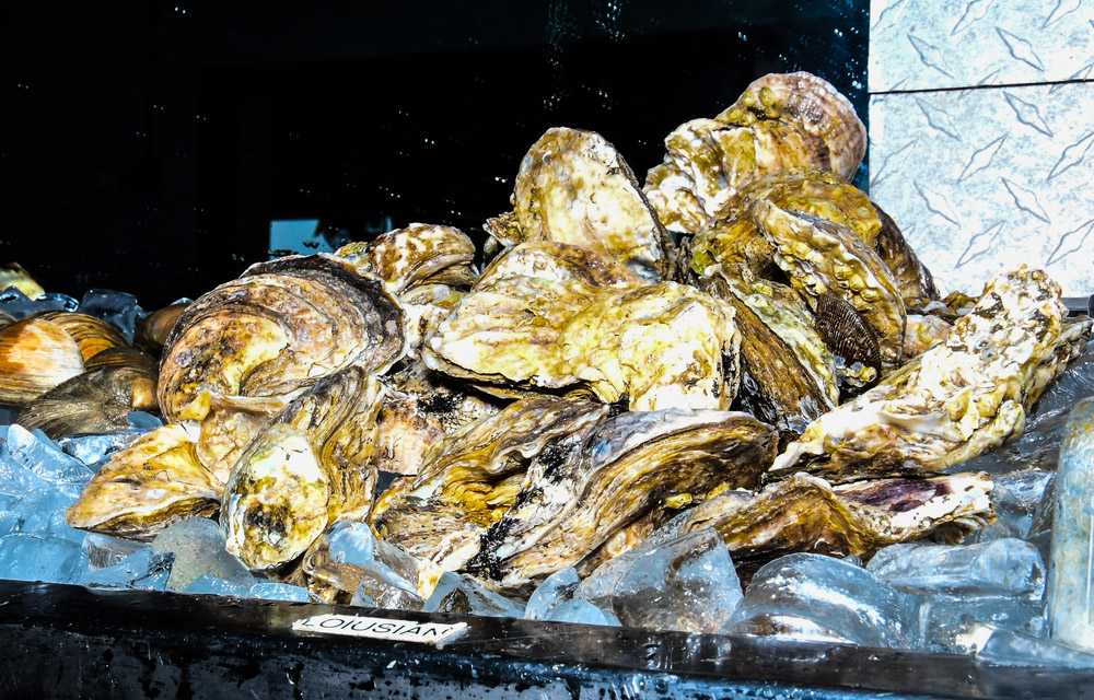 louisiana oysters