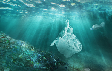 An image of plastic in the ocean.