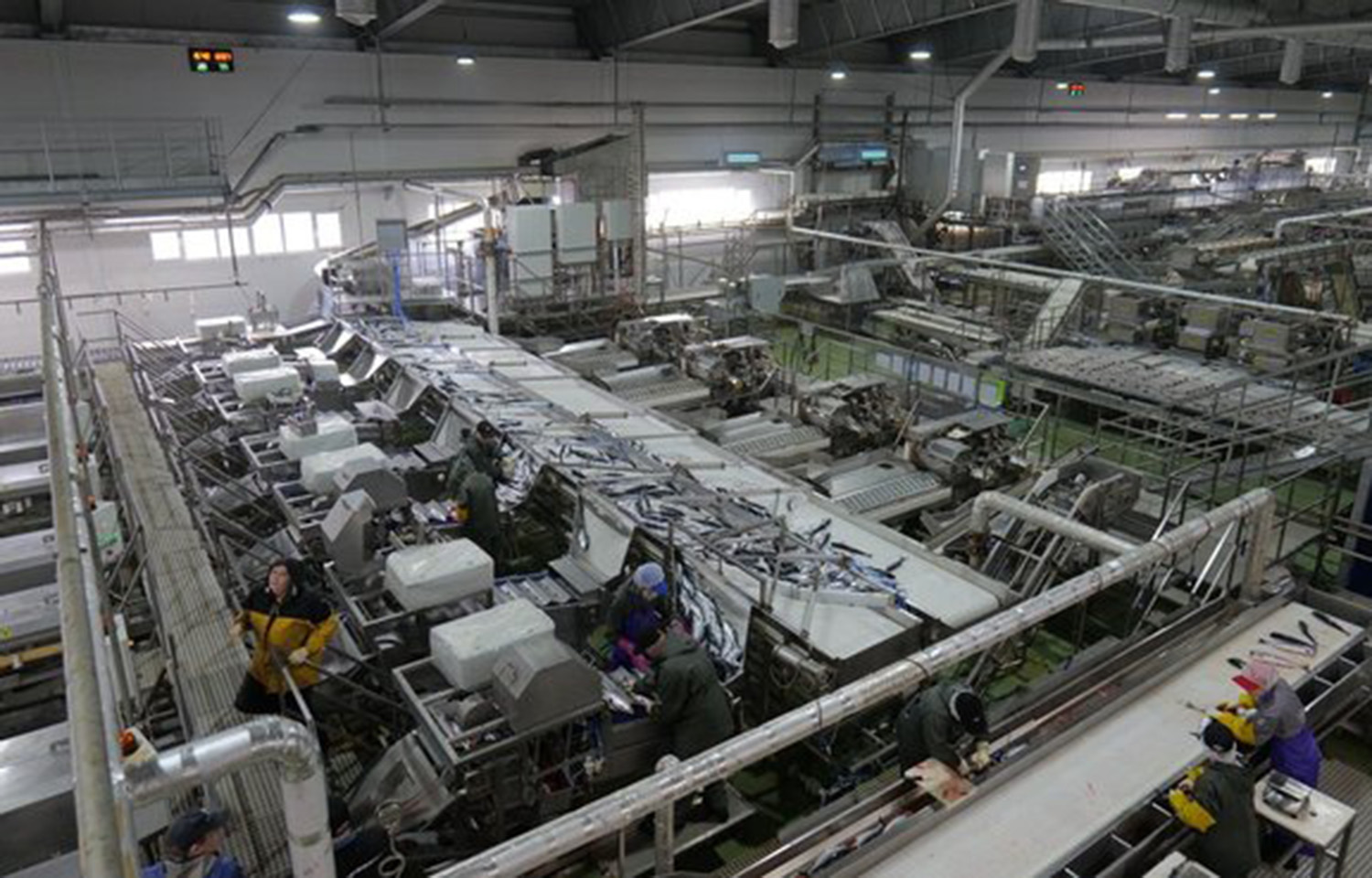 The interior of a fish-processing facility in Russia