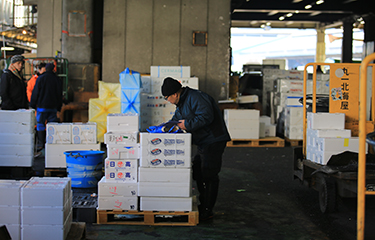 A worker in Japan reviewing seafood export packages.