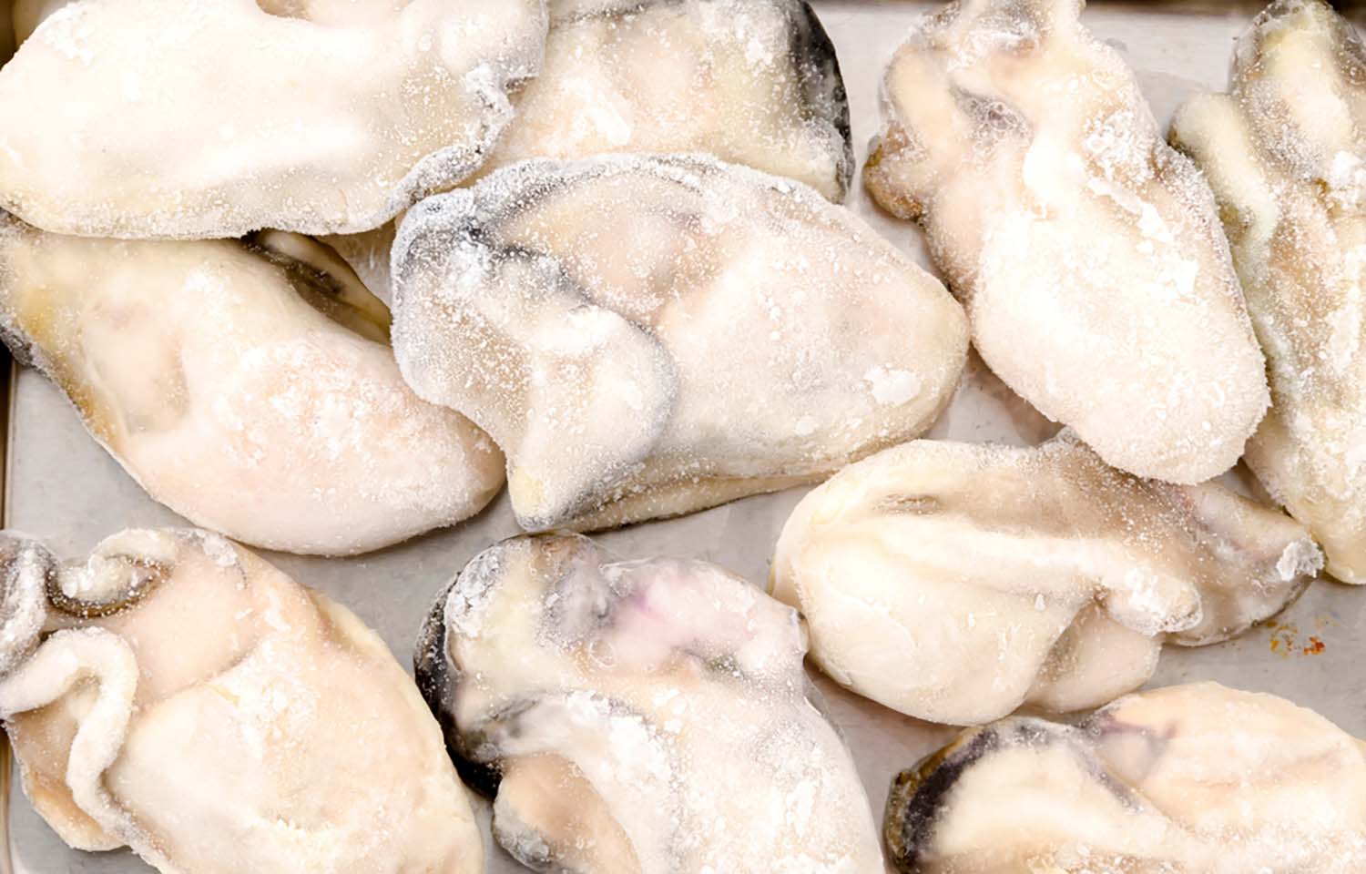 Frozen oysters