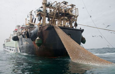 IFFO and SFP have formed a new roundtable group with the goal of improving data on fisheries in West Africa.