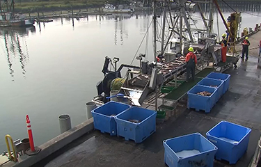 Pacific Seafood's Warrenton plant.