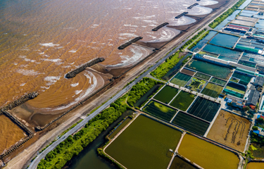 A downturn in June sales marked the first monthly decline Vietnam’s shrimp exports in 2022.